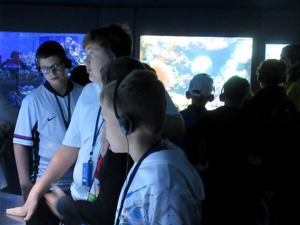 Mehrere Schüler schauen ins Aquarium